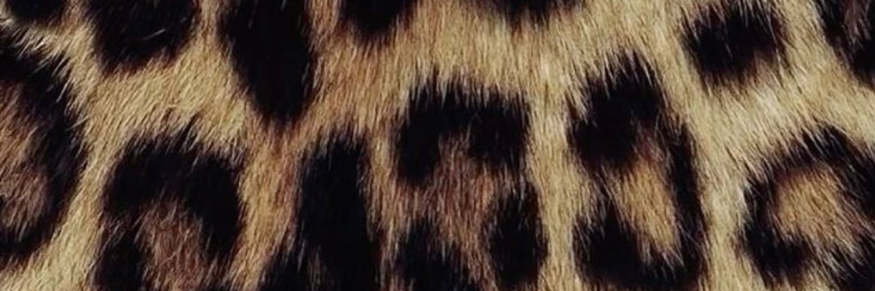 Jalaaaa🧡's banner