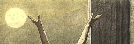 boklu popo🥀's banner