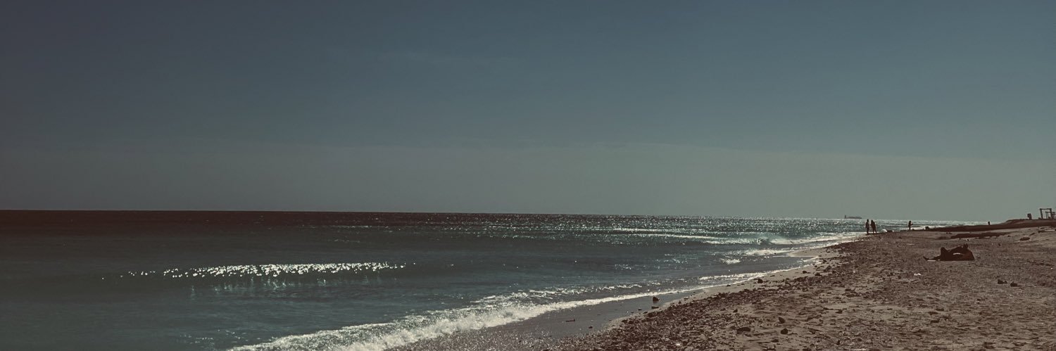 moonalisa's banner