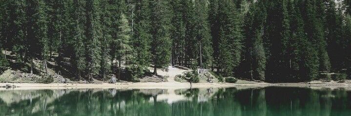 Wild & gay🏕️⛰'s banner