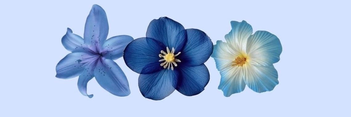 tiziana's banner