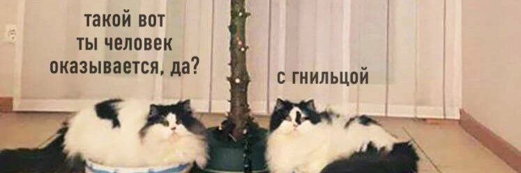 Am I Joke To You 🕊's banner