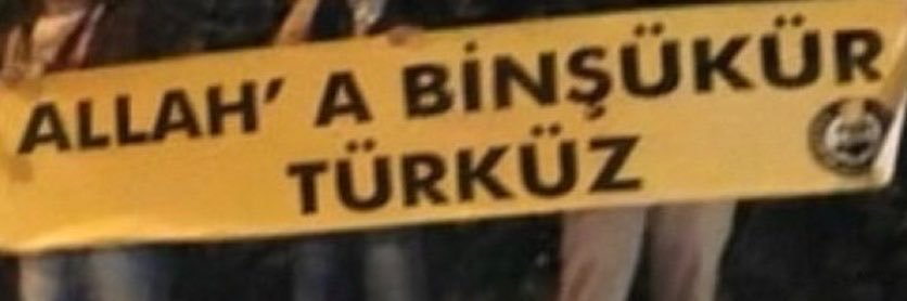 Elfida🎈's banner