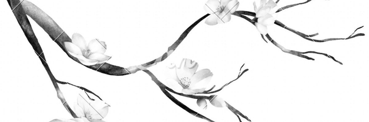 Ika𓍼's banner