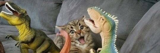 ron 🦖's banner