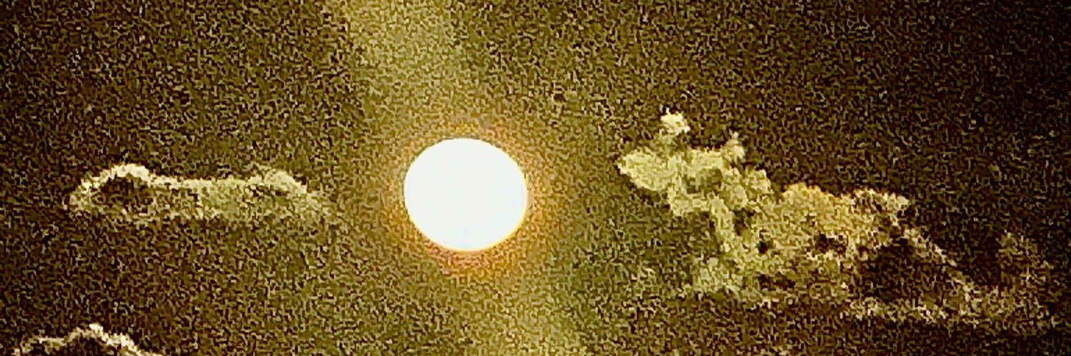 Nagarjuna Akkineni's banner