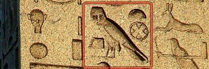 كائن الزواوي's banner
