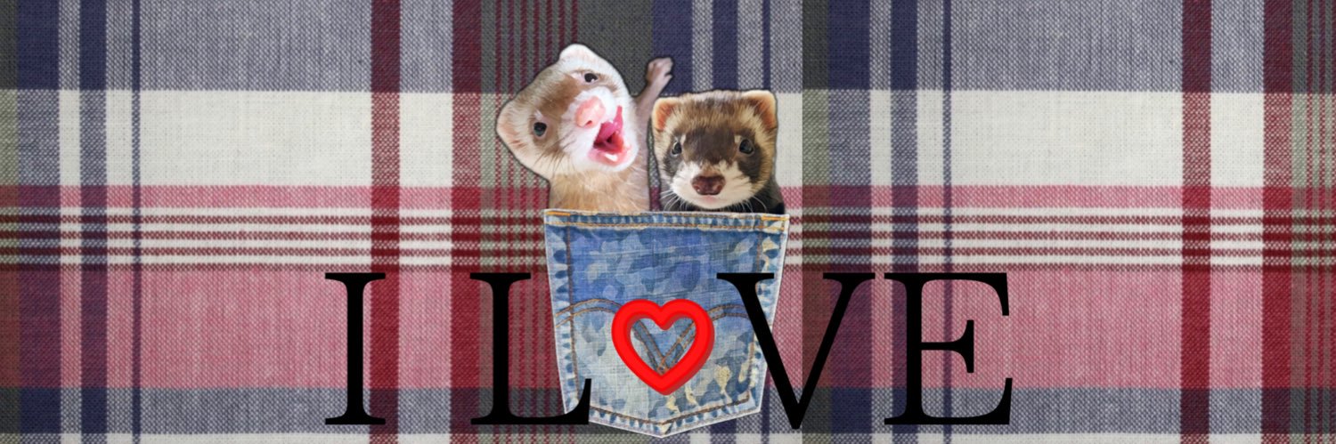 Dr.ぷく&くぅ/ フェレット ギャング🐻Ferret もっちー's banner