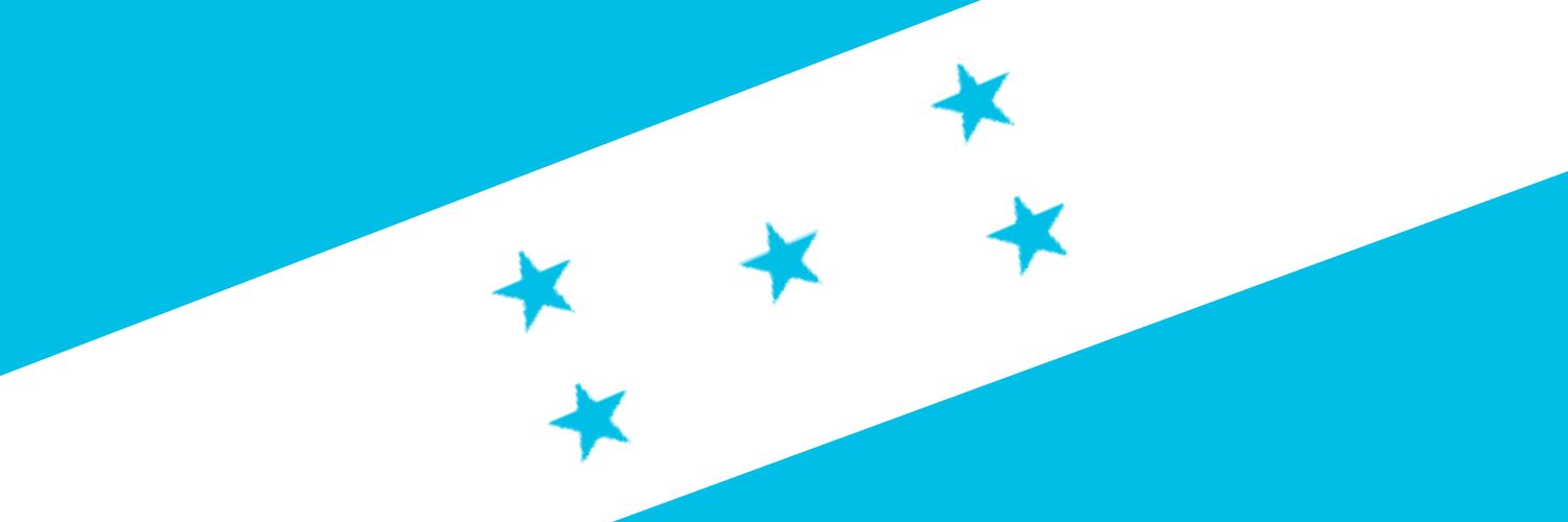 Fernando Pineda Flores's banner