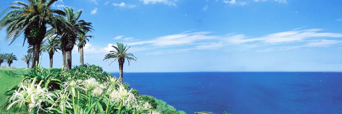 宮崎県広報's banner
