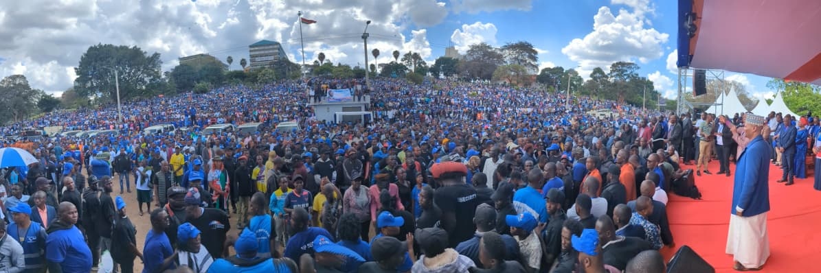 Kalonzo Musyoka's banner