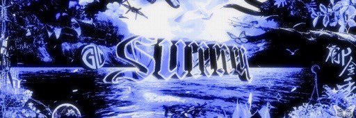 sunny's banner