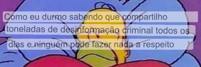 Fake News da Silva Jr's banner