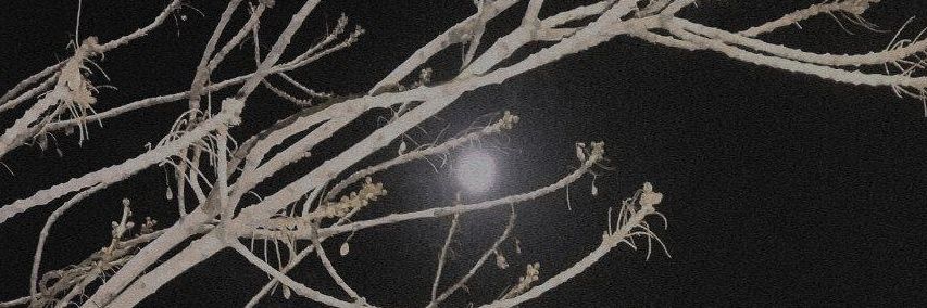 necrod's banner