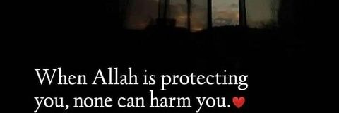 zaynab(hijab and perfume plug)'s banner