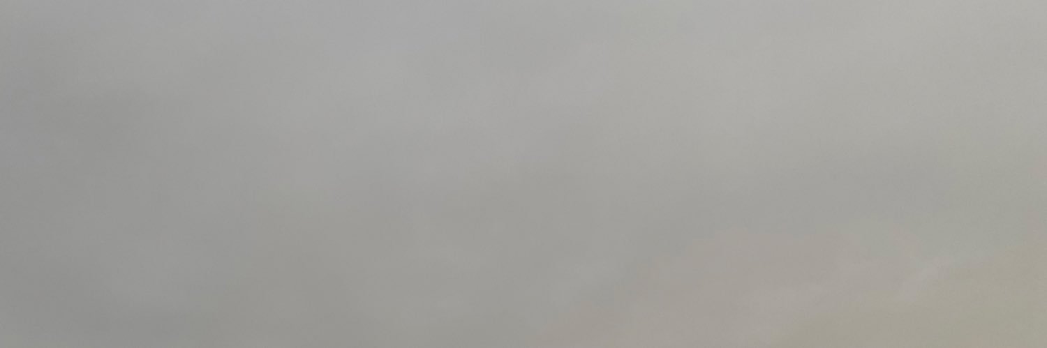 lyz | 💗's banner