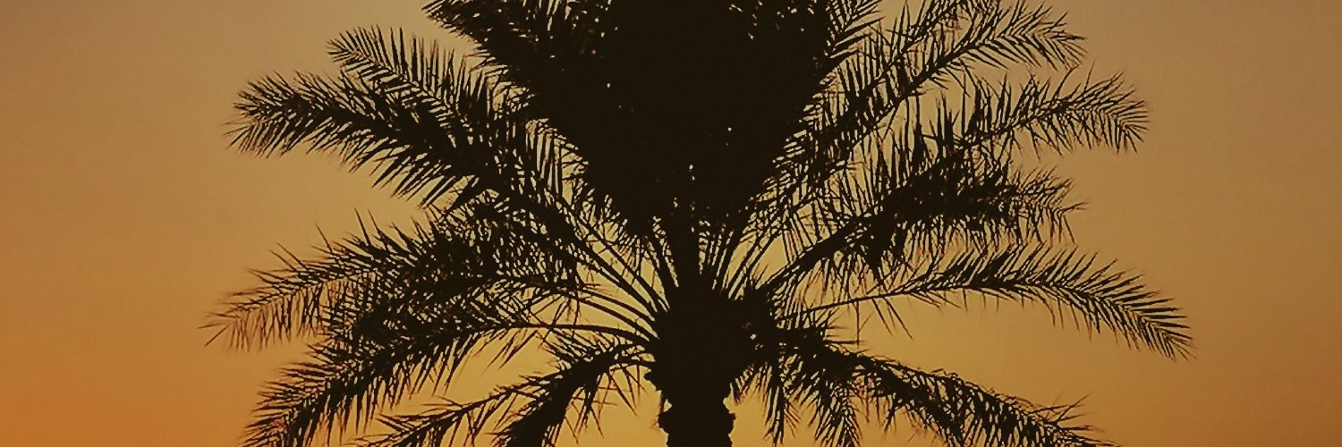 العواصف's banner