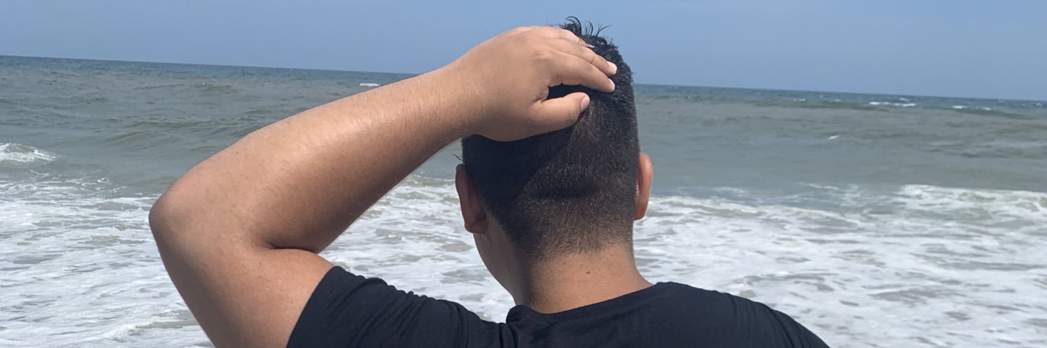@pigboi.bsky.social's banner