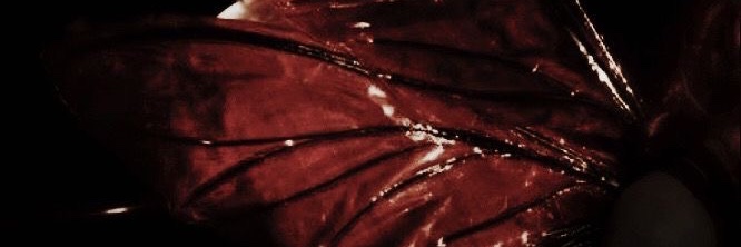 L.'s banner