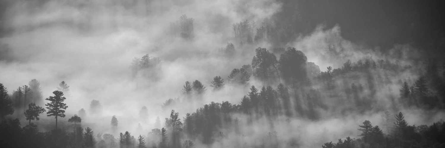 爱上表姐's banner
