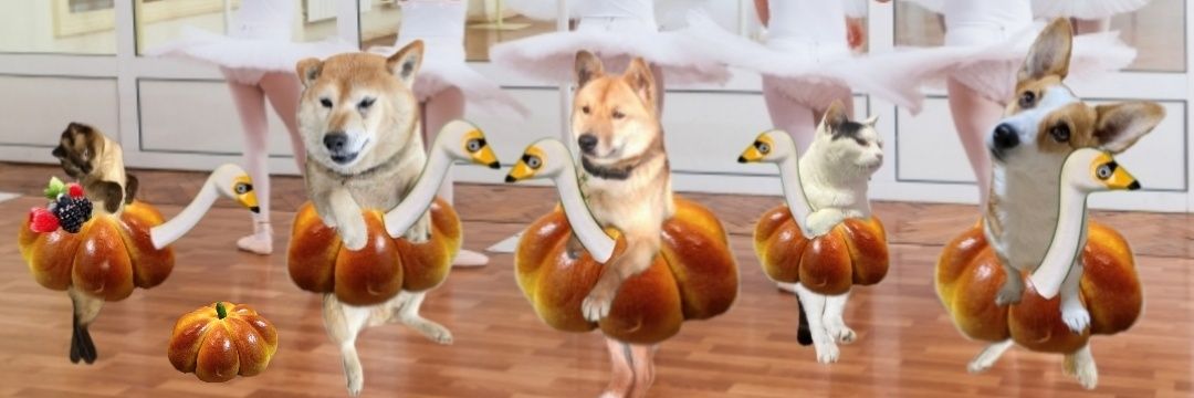 白くなくなったしろすけ's banner