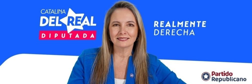 Diputada Catalina Del Real's banner