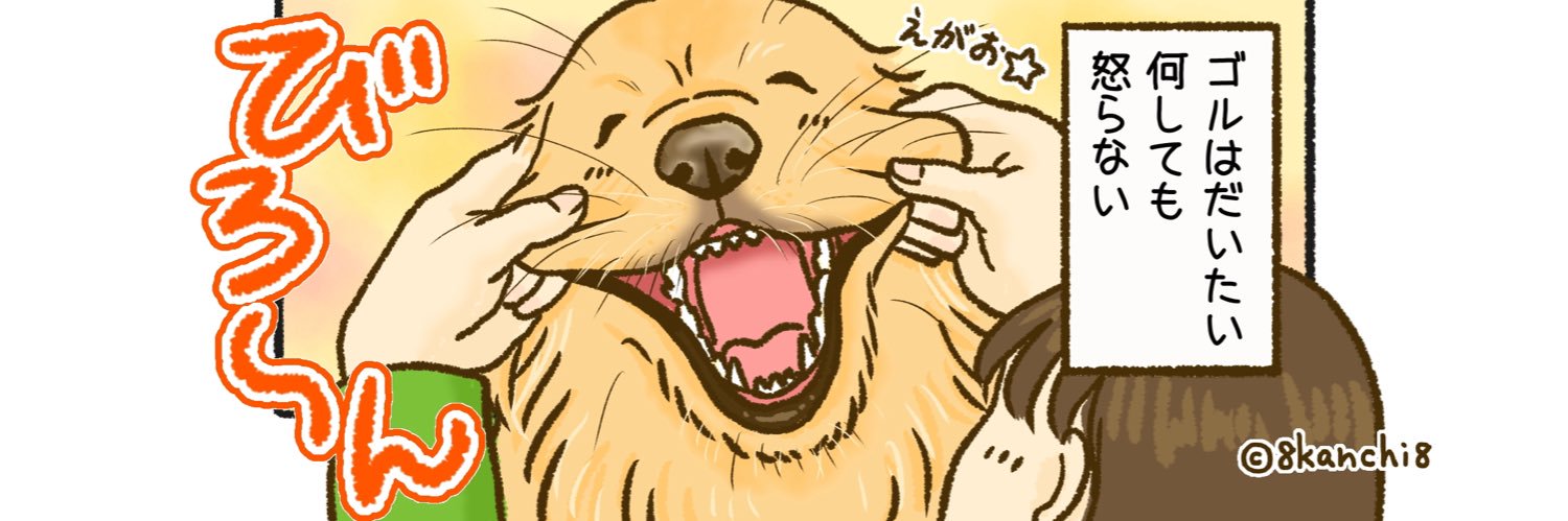 かんち（8kanchi8）@書籍『今日もゴールデンレトリバーに癒されて』発売！'s banner