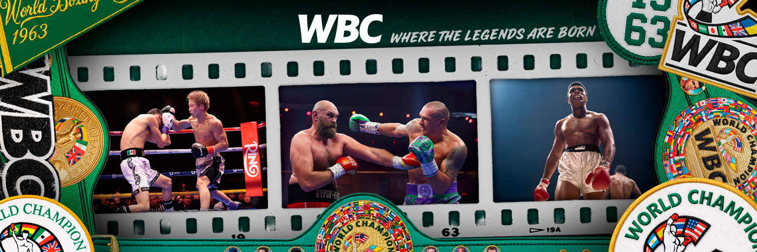 World Boxing Council's banner