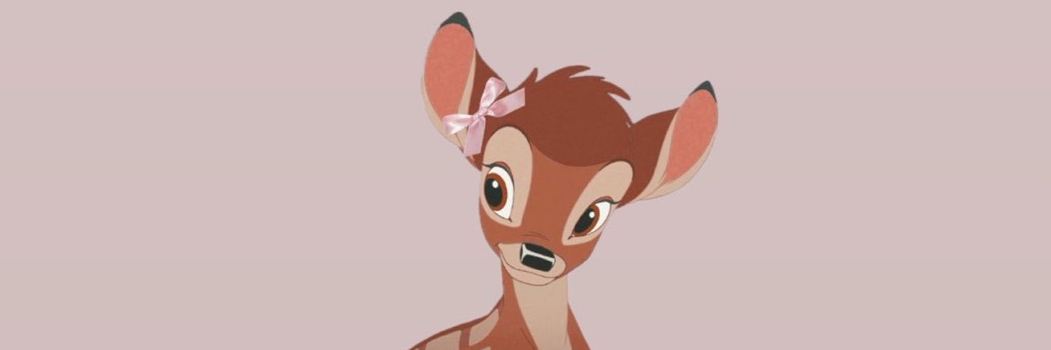 zey's banner