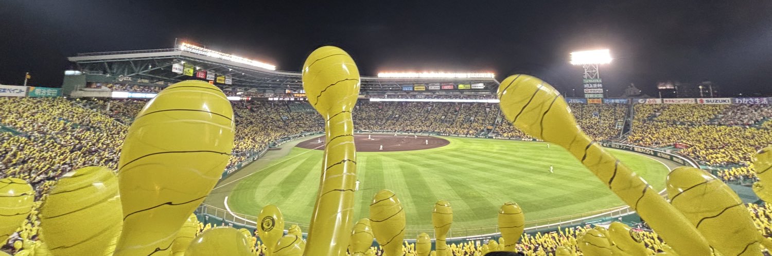 Rio's banner