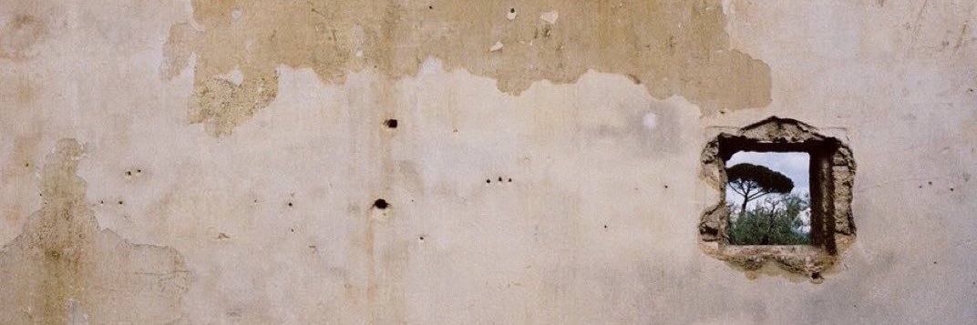 buze's banner