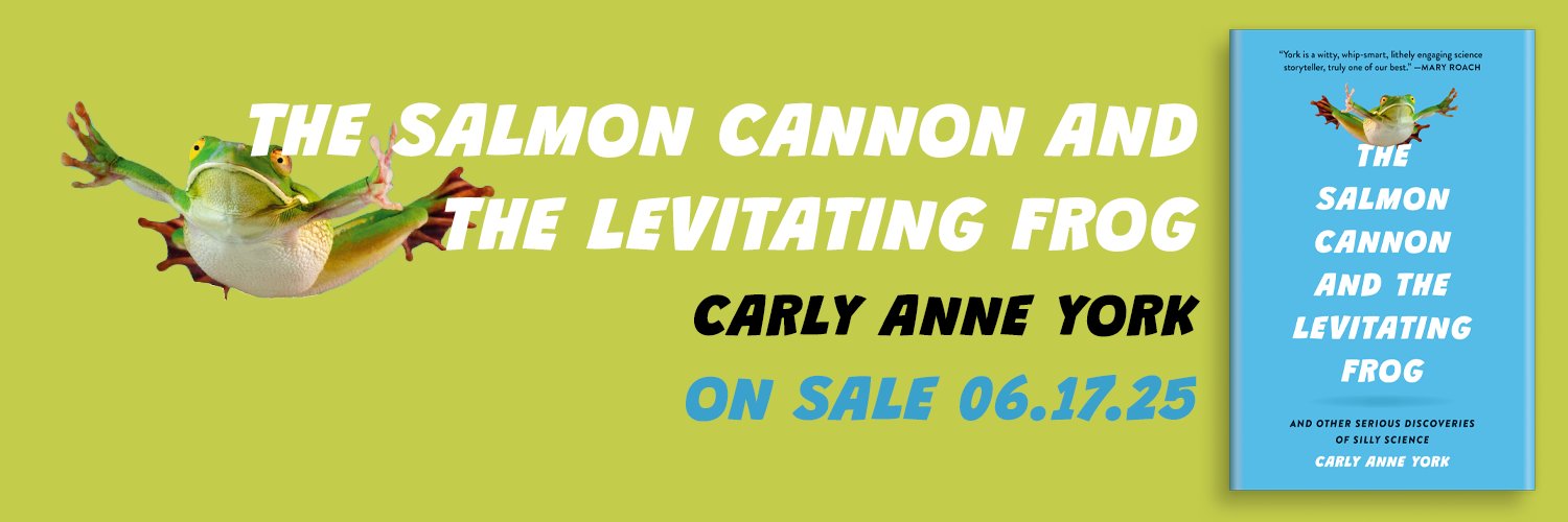 Carly Anne York, Ph.D.'s banner