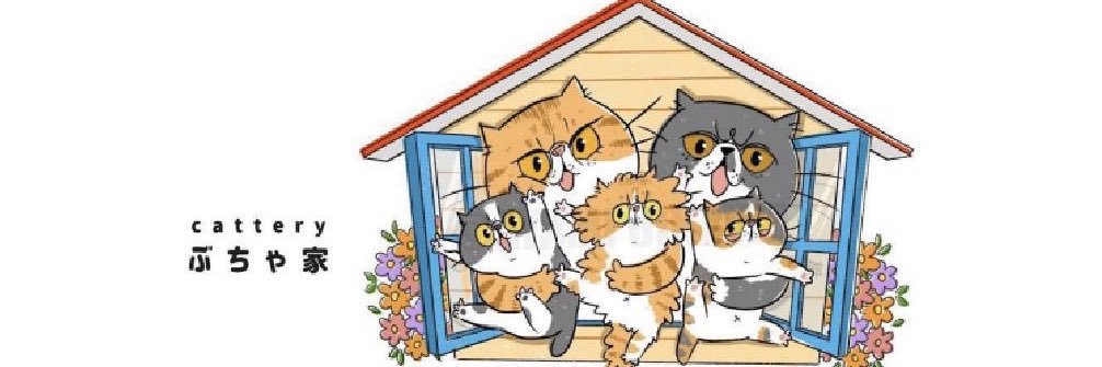 ぶちゃ家's banner
