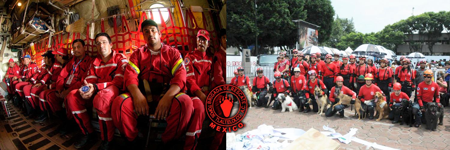 Topos® México's banner