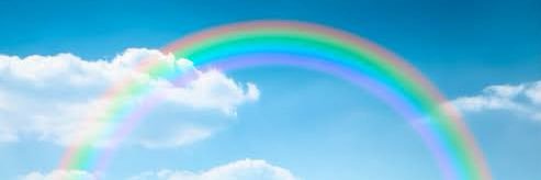 ウキウキるんるんキッチン🌈's banner