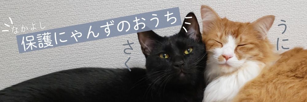 さく＆うにฅ( ˙꒳​˙ ฅ)のおうち's banner