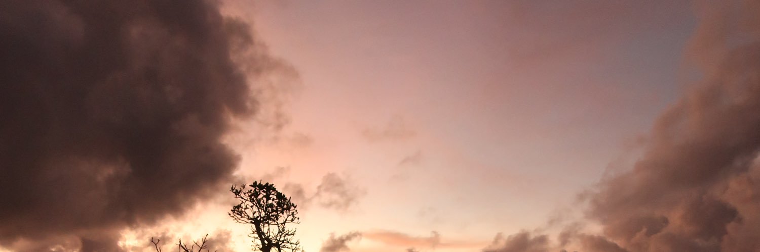 ✧˖°'s banner