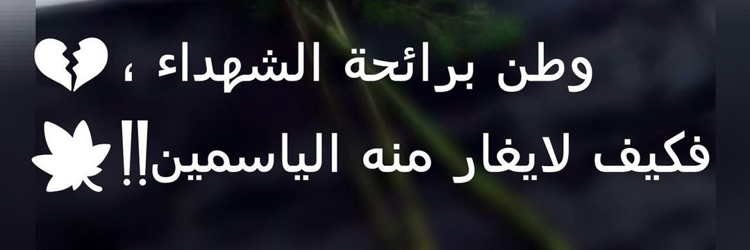 Mustafa AL Dulaimi's banner