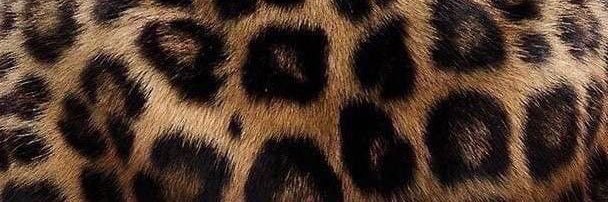 غَانِـية's banner
