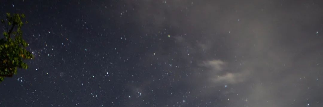 pribadi's banner