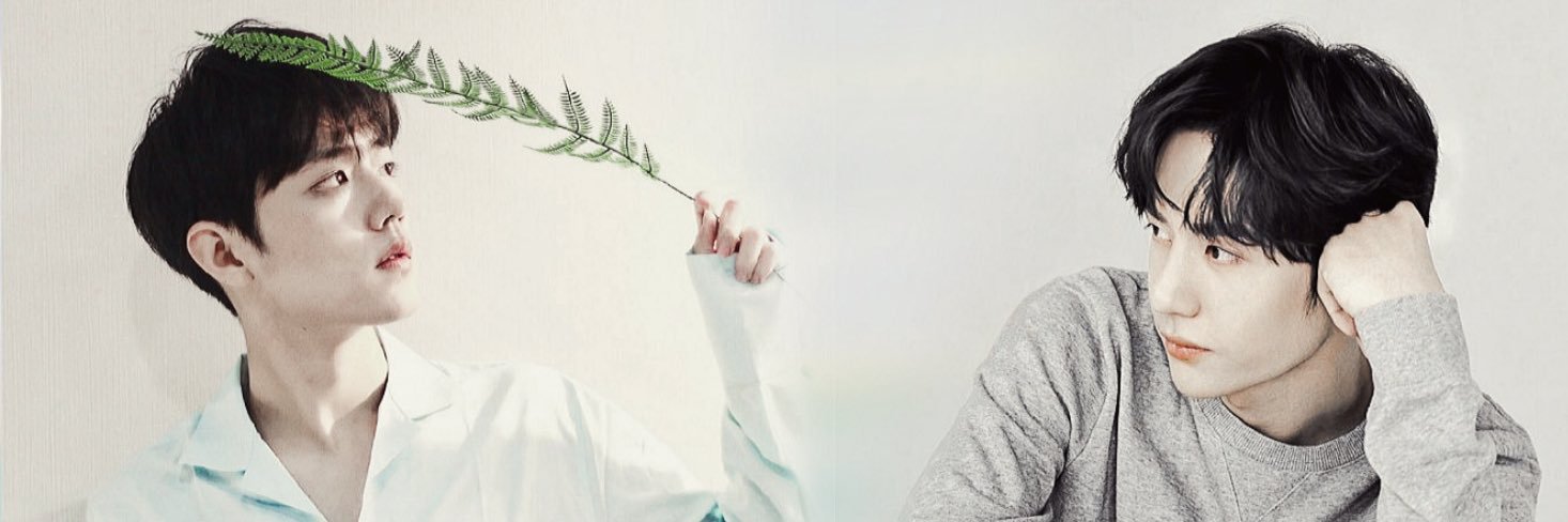 샤샤‎'s banner