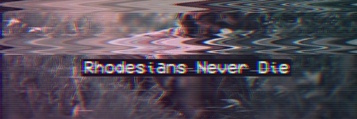 Nacionalista LM 🇧🇷 ✝️ 🤍's banner