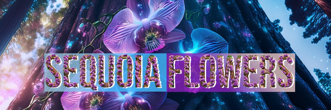 Sequoia Flowers 𓂀's banner