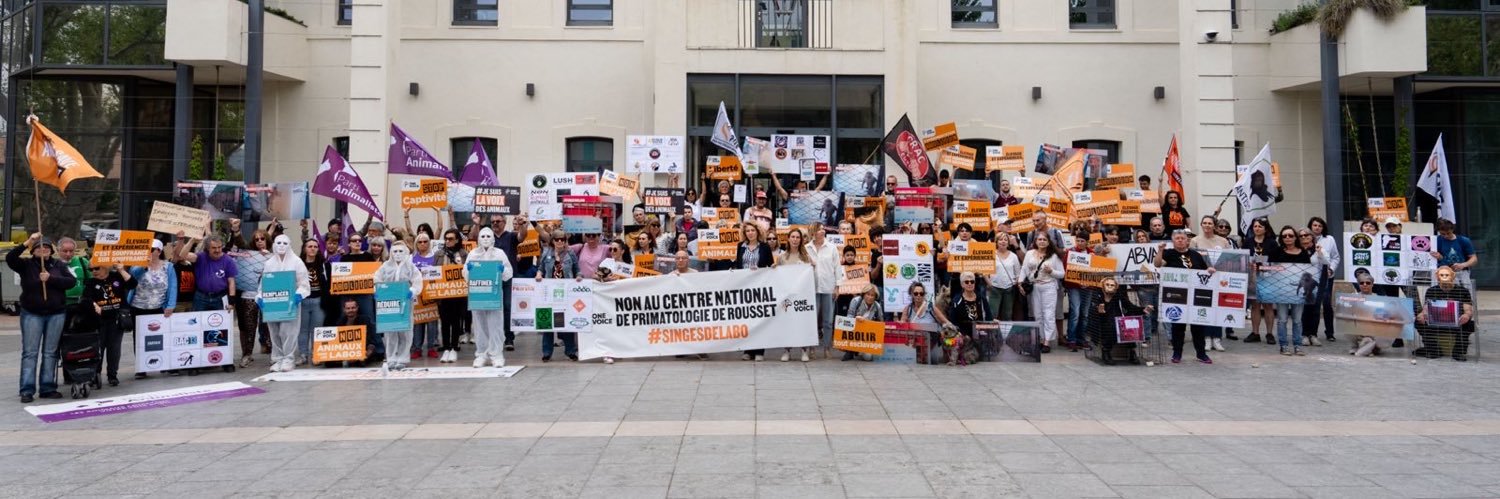 One Voice's banner