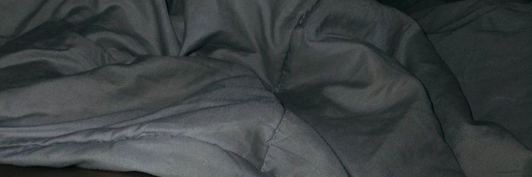 Robert's banner