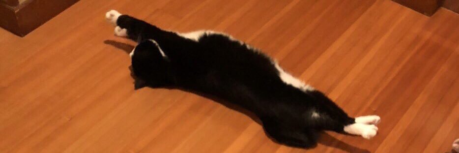 ヤムヤム's banner
