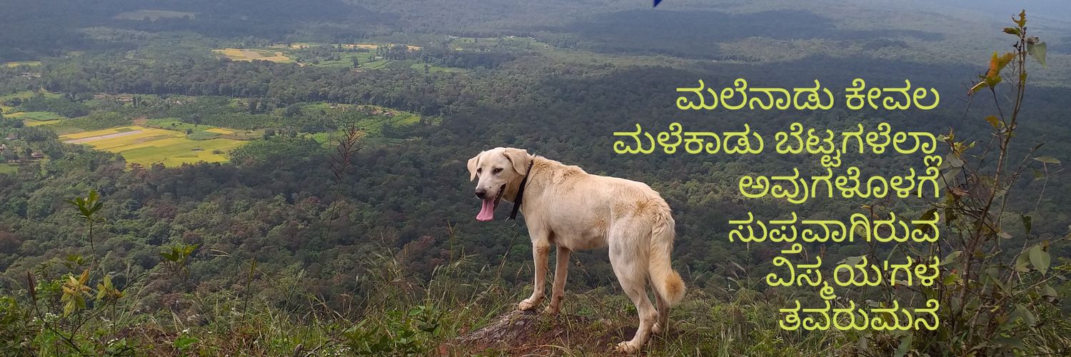 ವಿಜಯ್ ಆರ್ ಸೋಗೆದ್'s banner