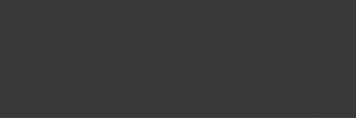 majsøn's banner