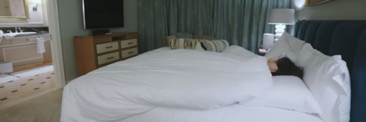 홍시's banner