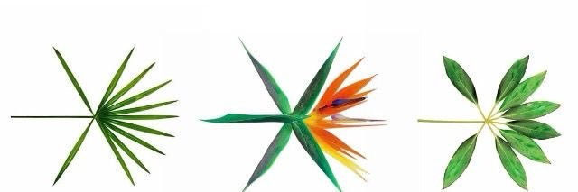 玉𝗝𝗔𝗗𝗘¹⁴⁸⁵'s banner